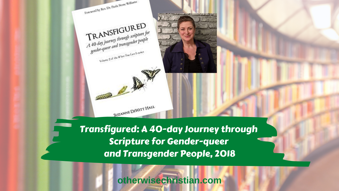 Transfigured Book Transfigured: A 40-day Journey through Scripture for Gender-queer and ...